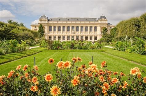 Le Jardin des Plantes: แหล่งความรู้และความงามทางธรรมชาติที่น่าตื่นตา!